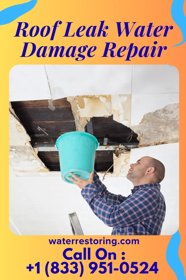 Roof Leak Water Damage Repair in Pineville, KY