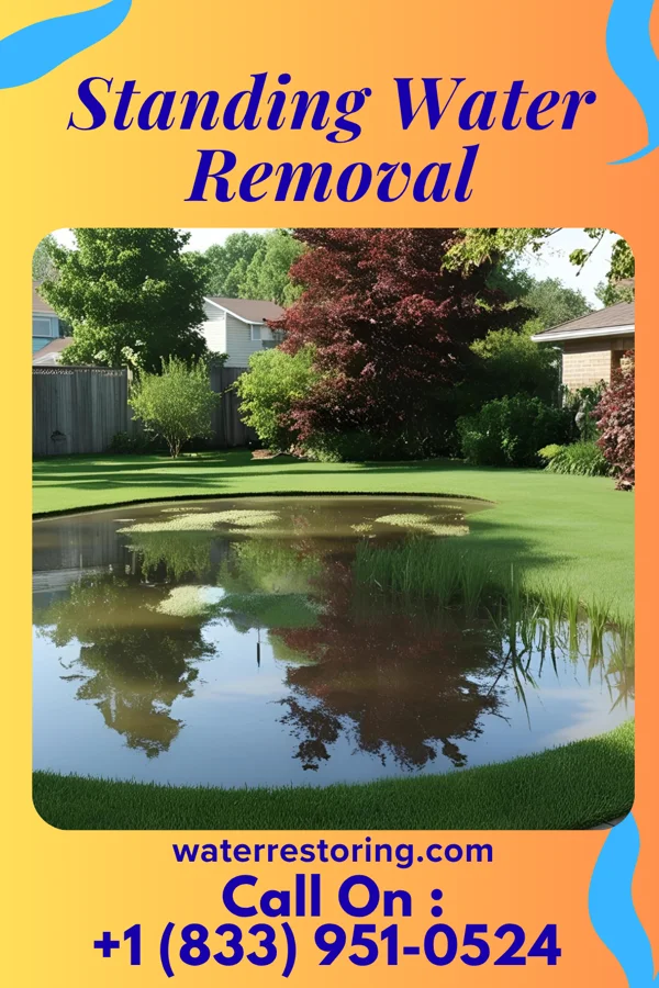 Standing Water Removal in Pineville, KY